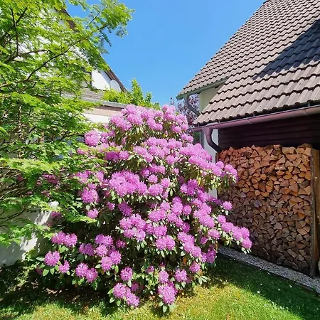 Sauerzapf * Braunlage